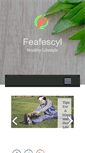 Mobile Screenshot of feafescyl.org
